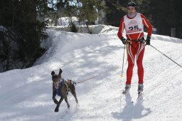 San Bernardino 2011
